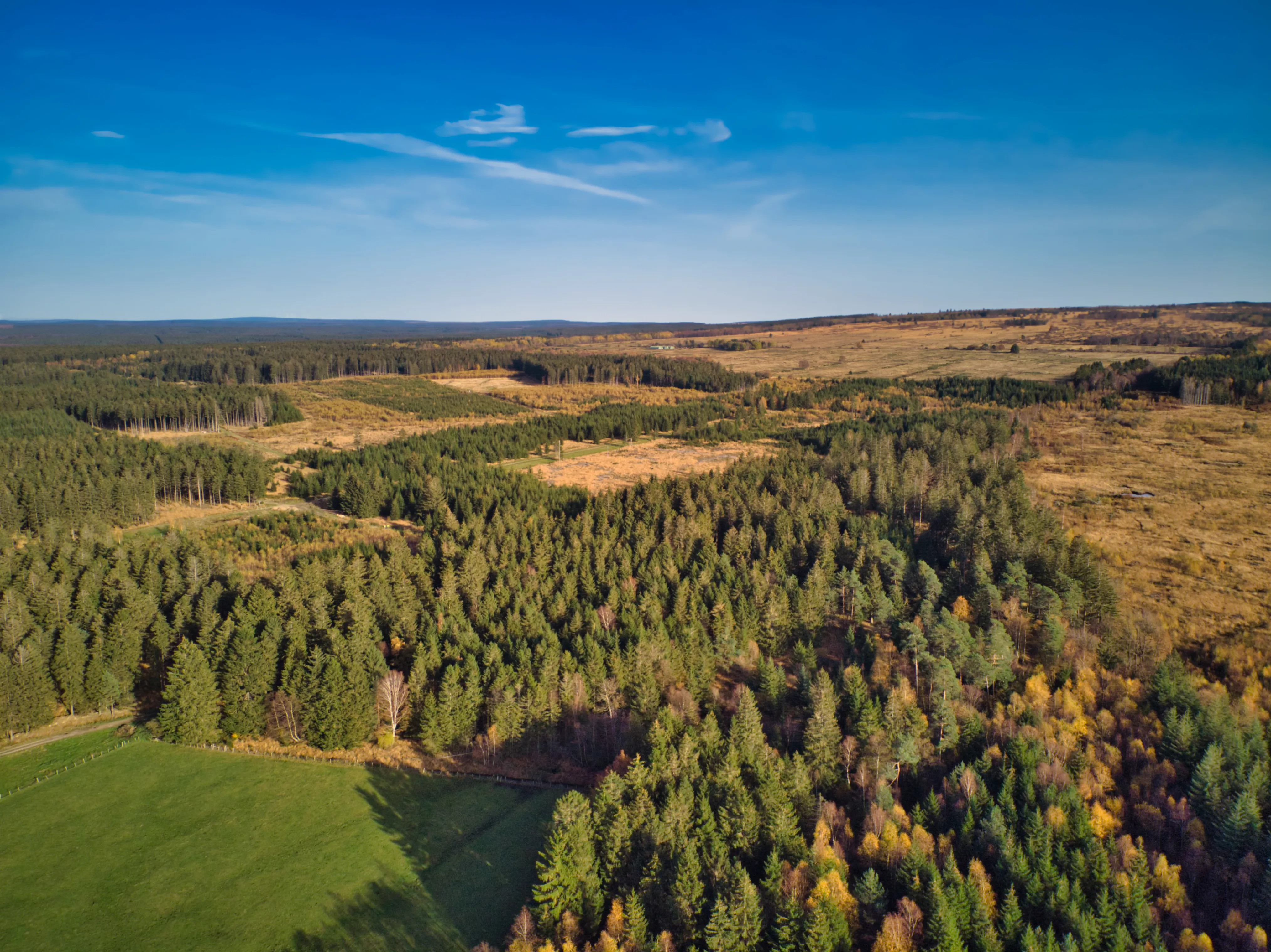 Landschap in de Hoge Venen tijdens de eerdere SOLA-editie Beweging als medicijn