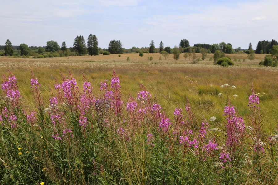 SOLA weekend sfeerbeeld 4