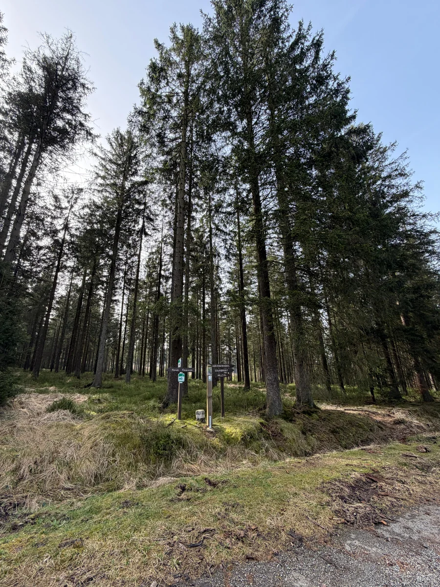 Intermittent Living weekend in de Hoge Venen