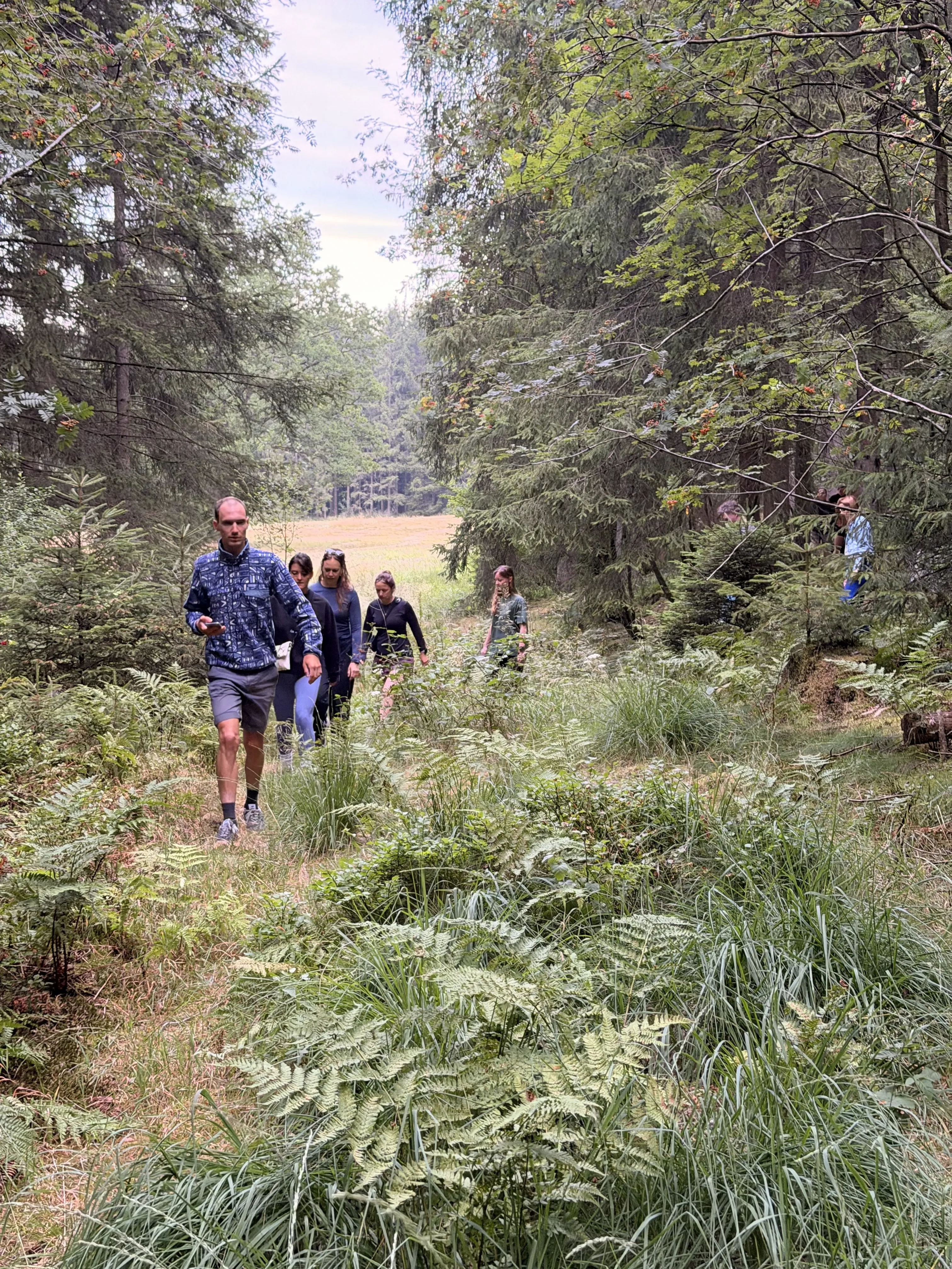 Deelnemers wandelen samen door het groen