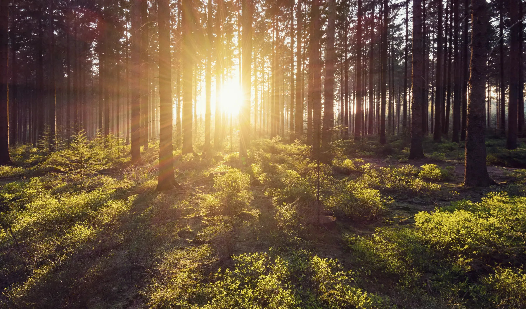 SOLA reiservaring in de natuur